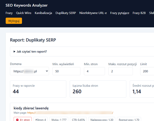 Interfejs aplikacji SEO Keywords Analyzer